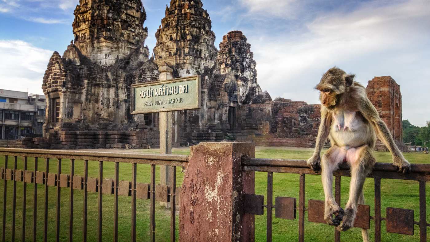 trustandbreathe fotografie - thailand Lopburi